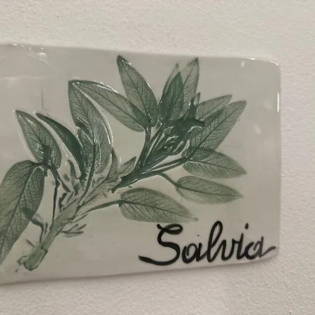 Frühstückspension Il Giardino Dei Limoni Suvereto