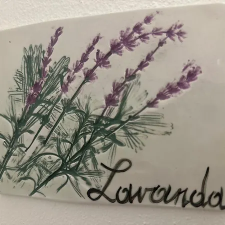 Il Giardino Dei Limoni فندق مبيت وإفطار سوفيريتو
