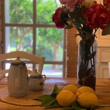 Il Giardino Dei Limoni Bed & Breakfast